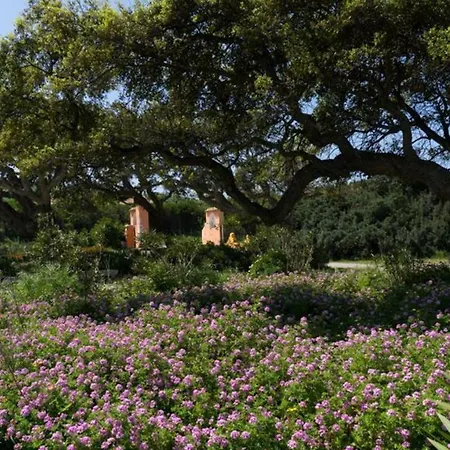 Apartman Casa Ginestra -