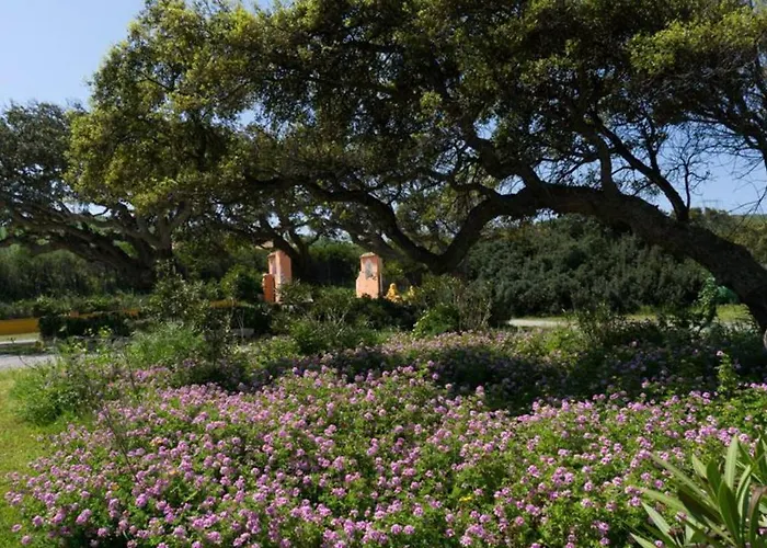 公寓 Casa Ginestra -